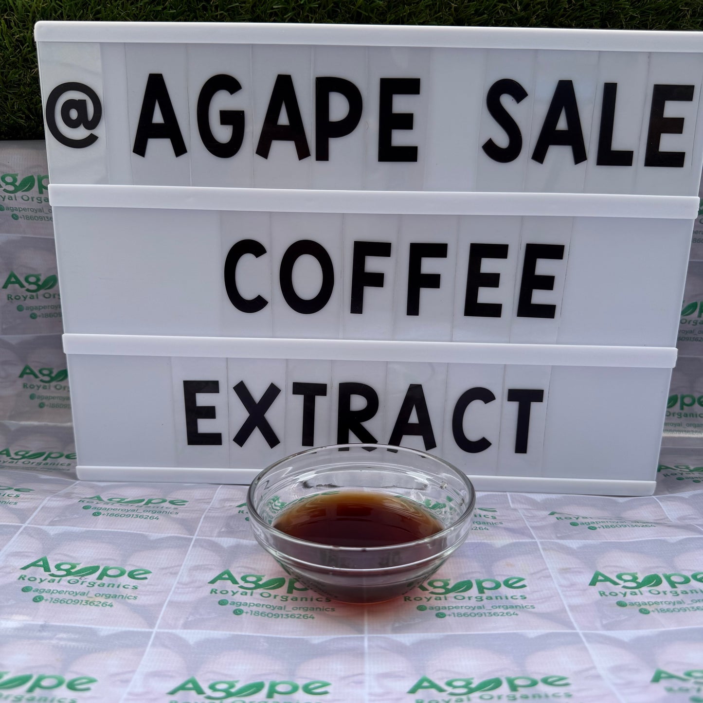 Coffee Extract PG water-free glycerin-free botanical extract for cosmetic formulations