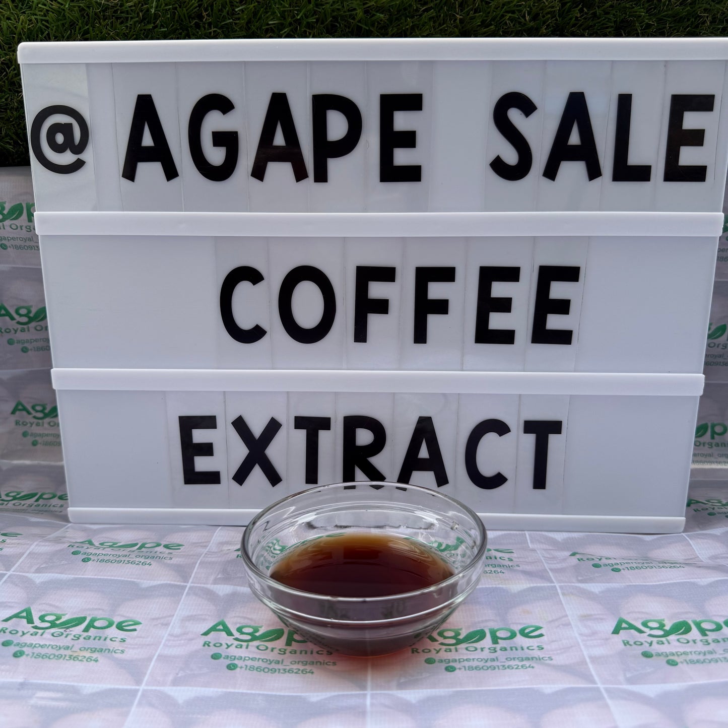 Coffee Extract PG water-free glycerin-free botanical extract for cosmetic formulations