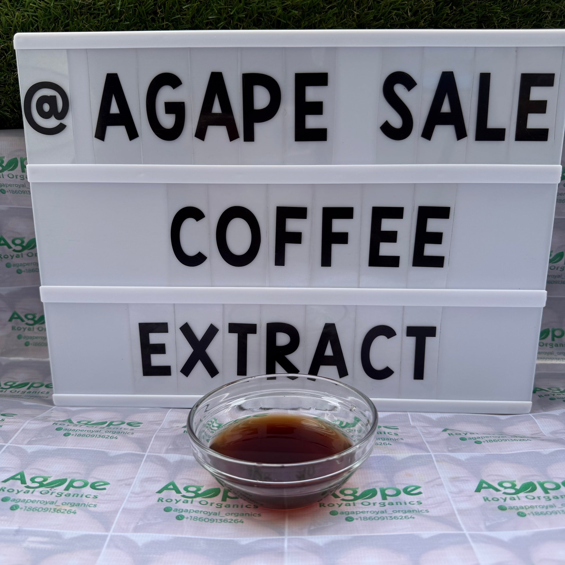 Coffee Extract PG water-free glycerin-free botanical extract for cosmetic formulations