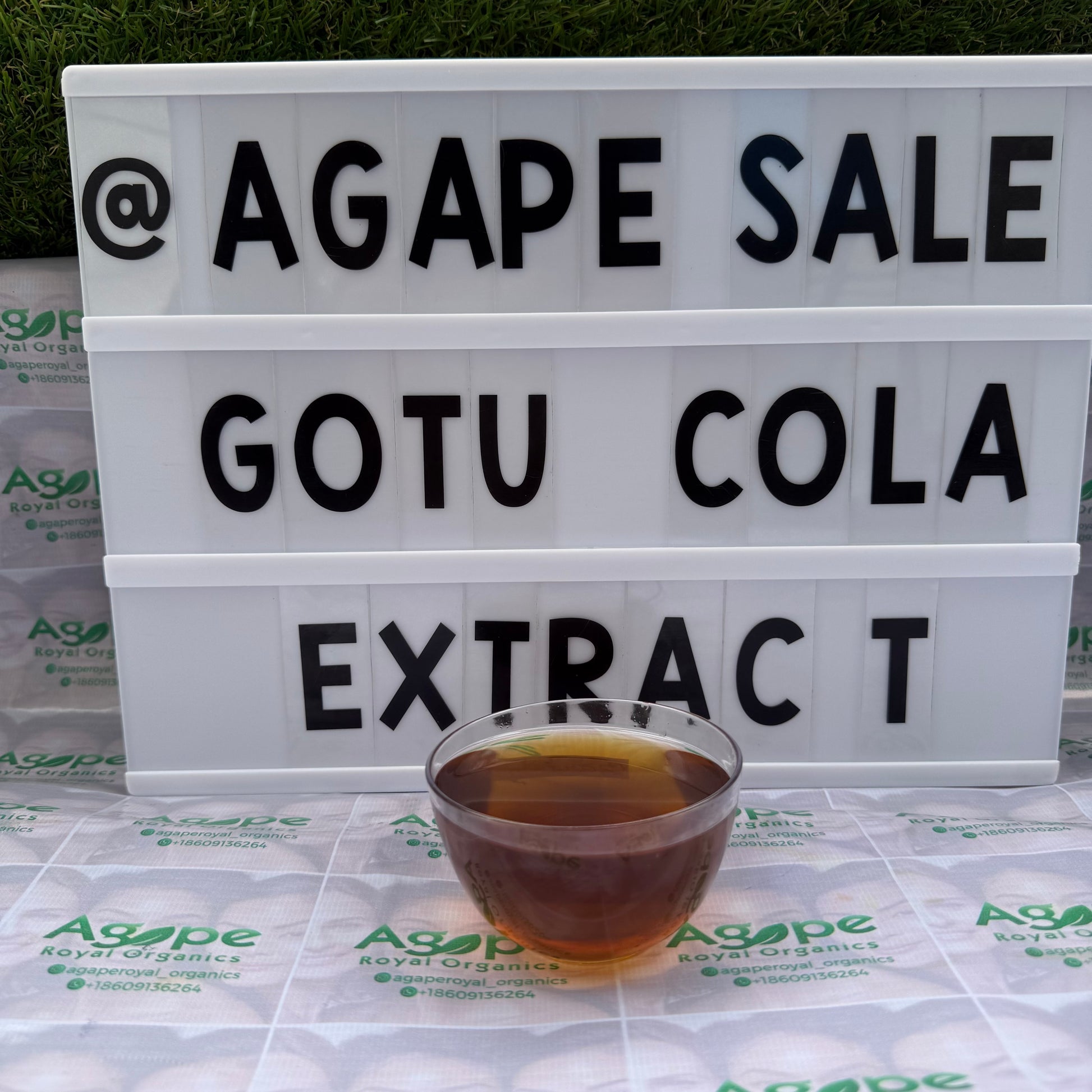 Gotu Kola Extract PG water-free glycerin-free botanical extract for cosmetic formulations