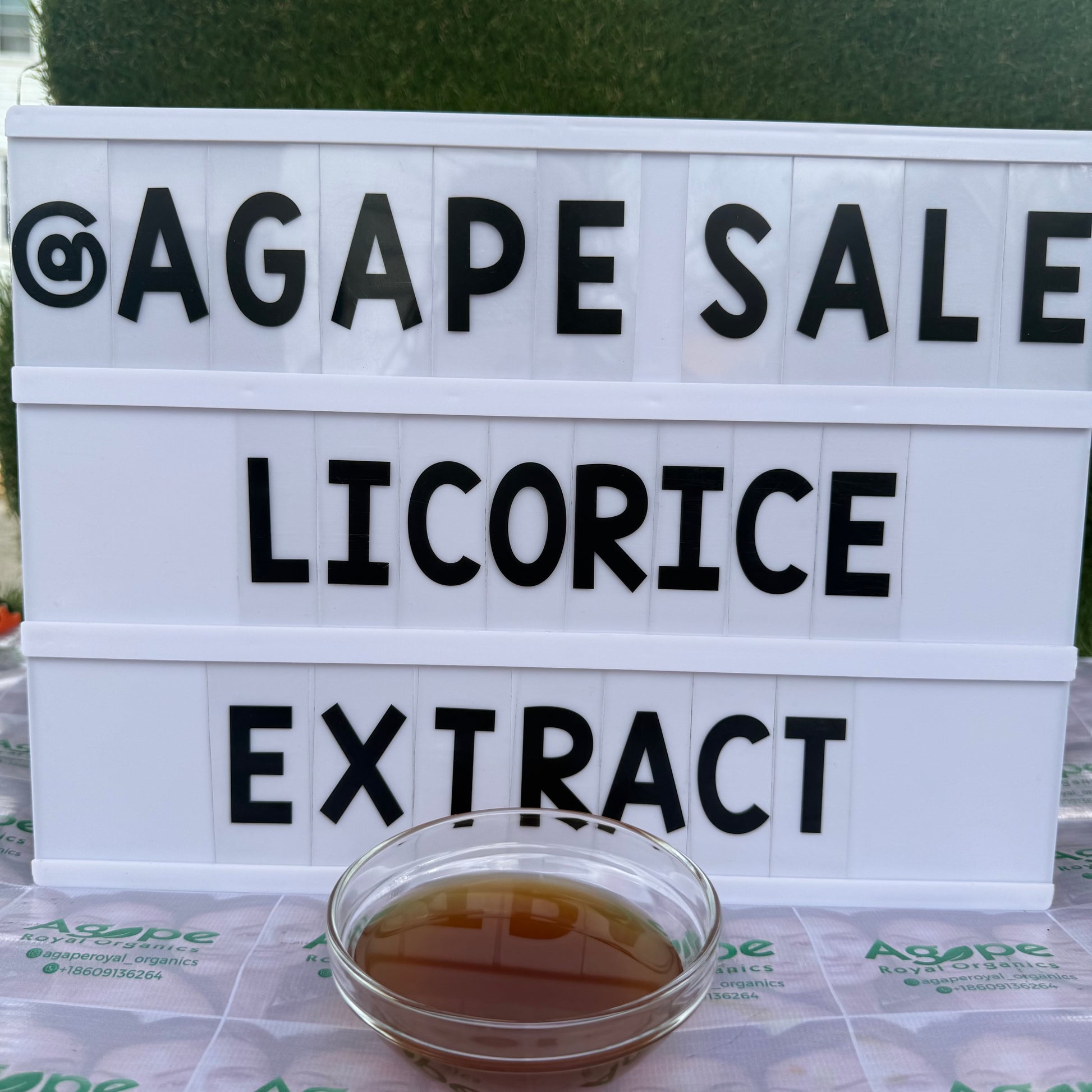 Licorice Root Extract PG water-free glycerin-free botanical extract for cosmetic formulations
