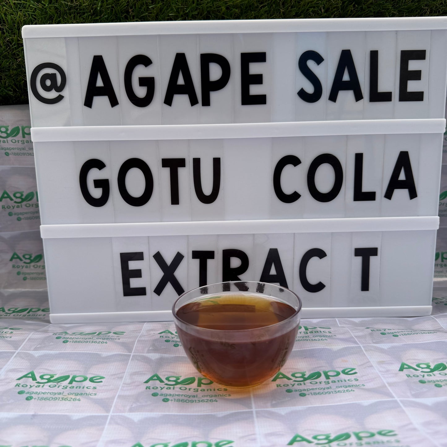 Gotu Kola Extract PG water-free glycerin-free botanical extract for cosmetic formulations