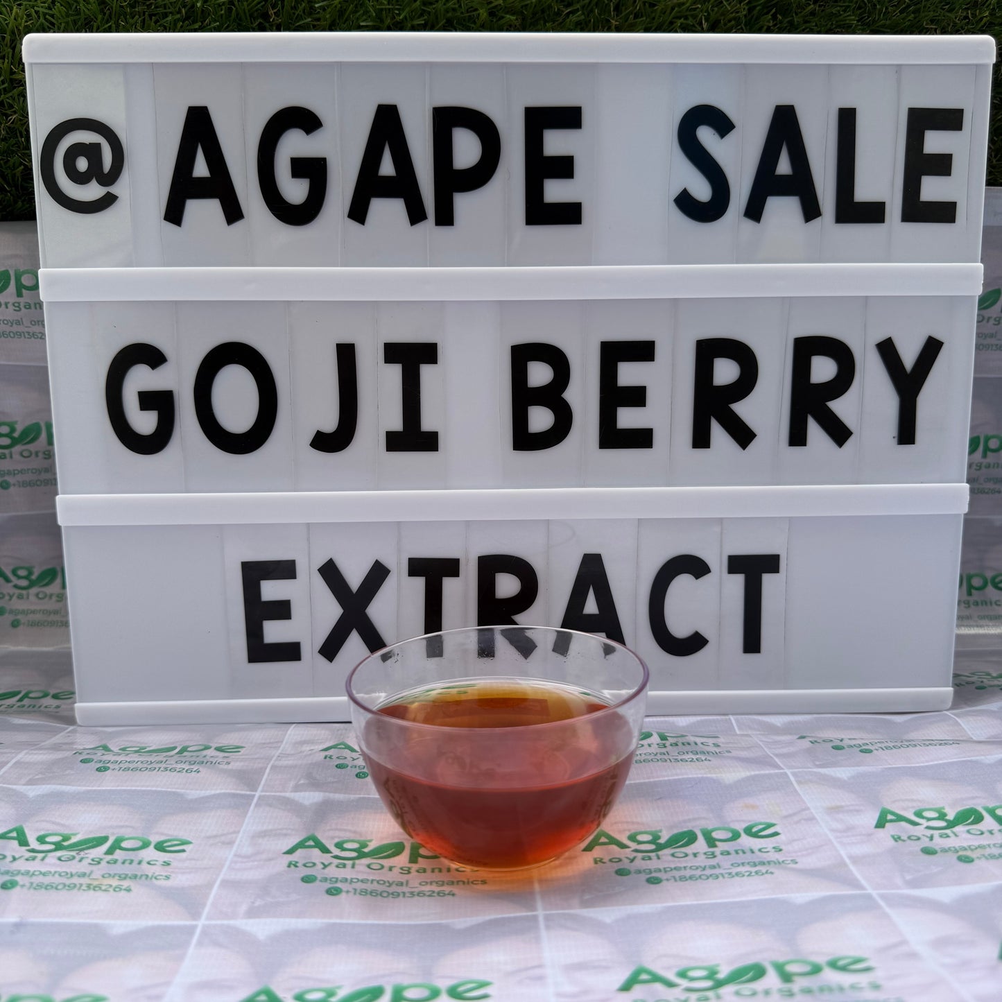 Goji Berry Extract PG water-free glycerin-free botanical extract for cosmetic formulations