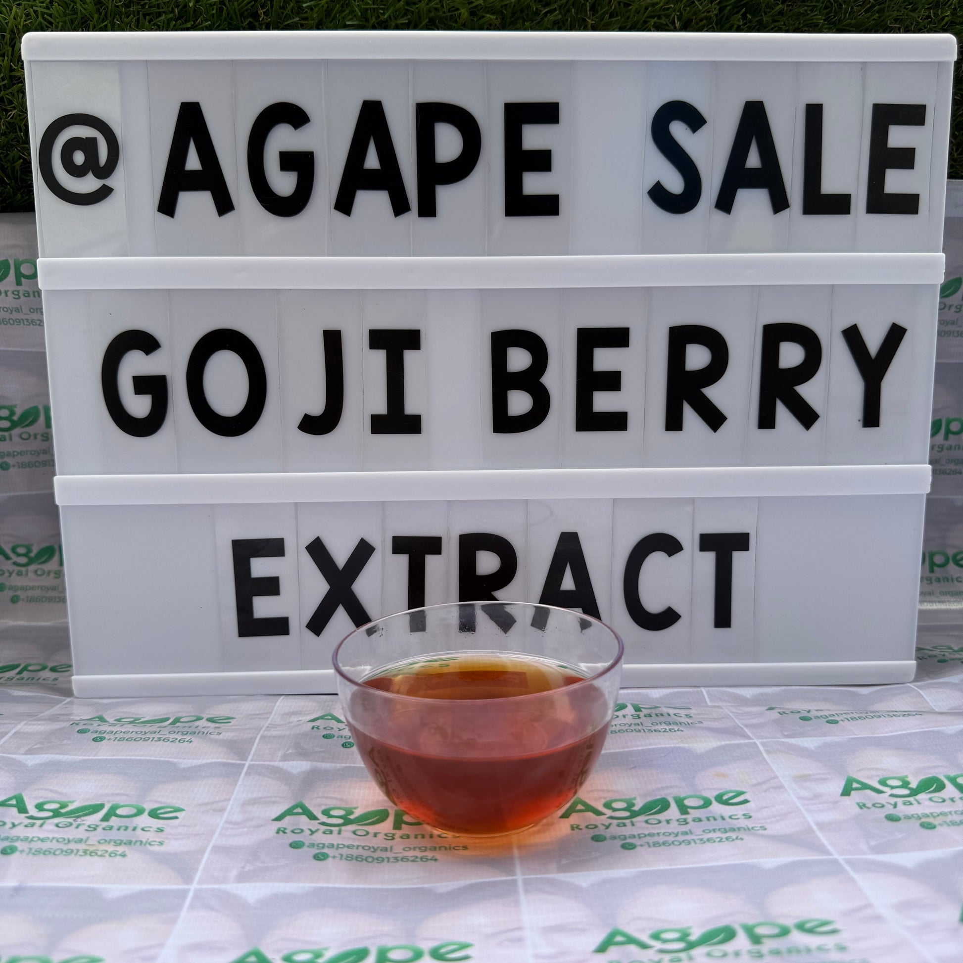 Goji Berry Extract PG water-free glycerin-free botanical extract for cosmetic formulations
