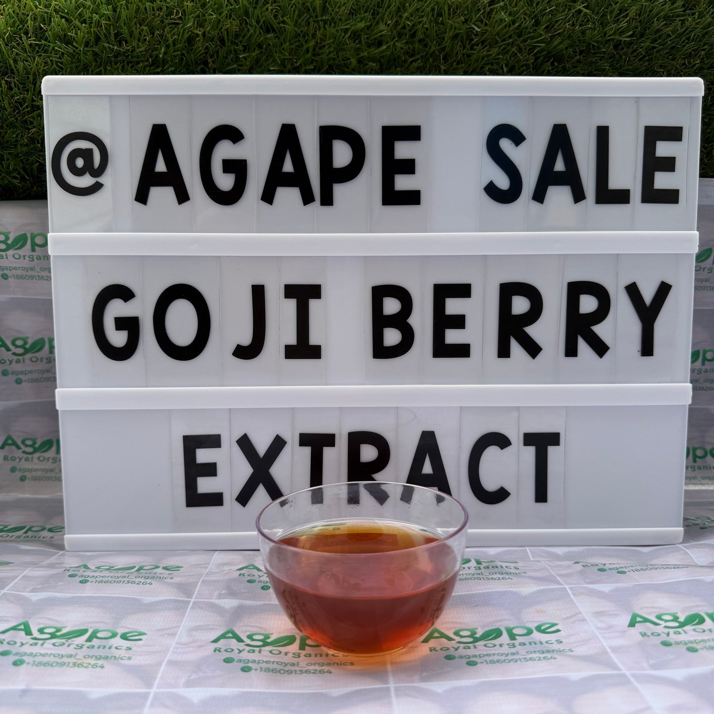 Goji Berry Extract PG water-free glycerin-free botanical extract for cosmetic formulations