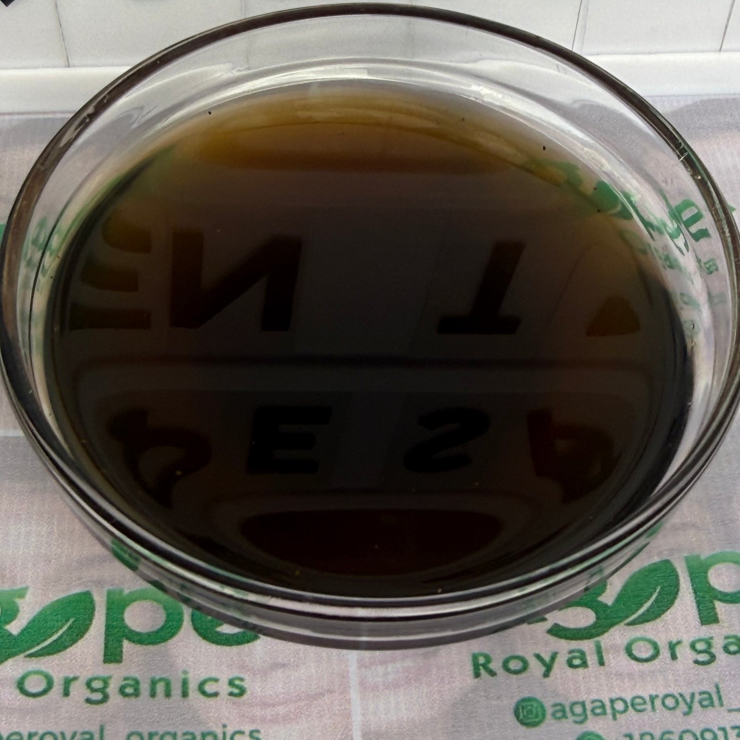 Green Tea Extract PG water-free glycerin-free botanical extract for cosmetic formulations