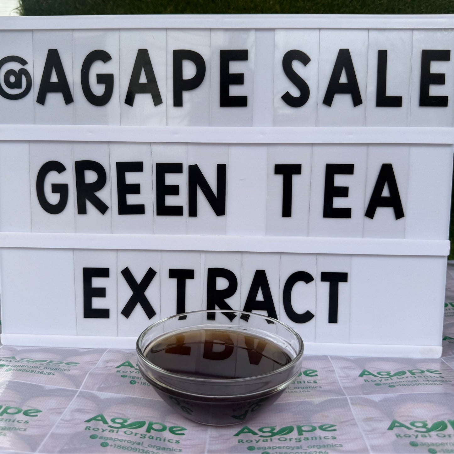 Green Tea Extract PG water-free glycerin-free botanical extract for cosmetic formulations