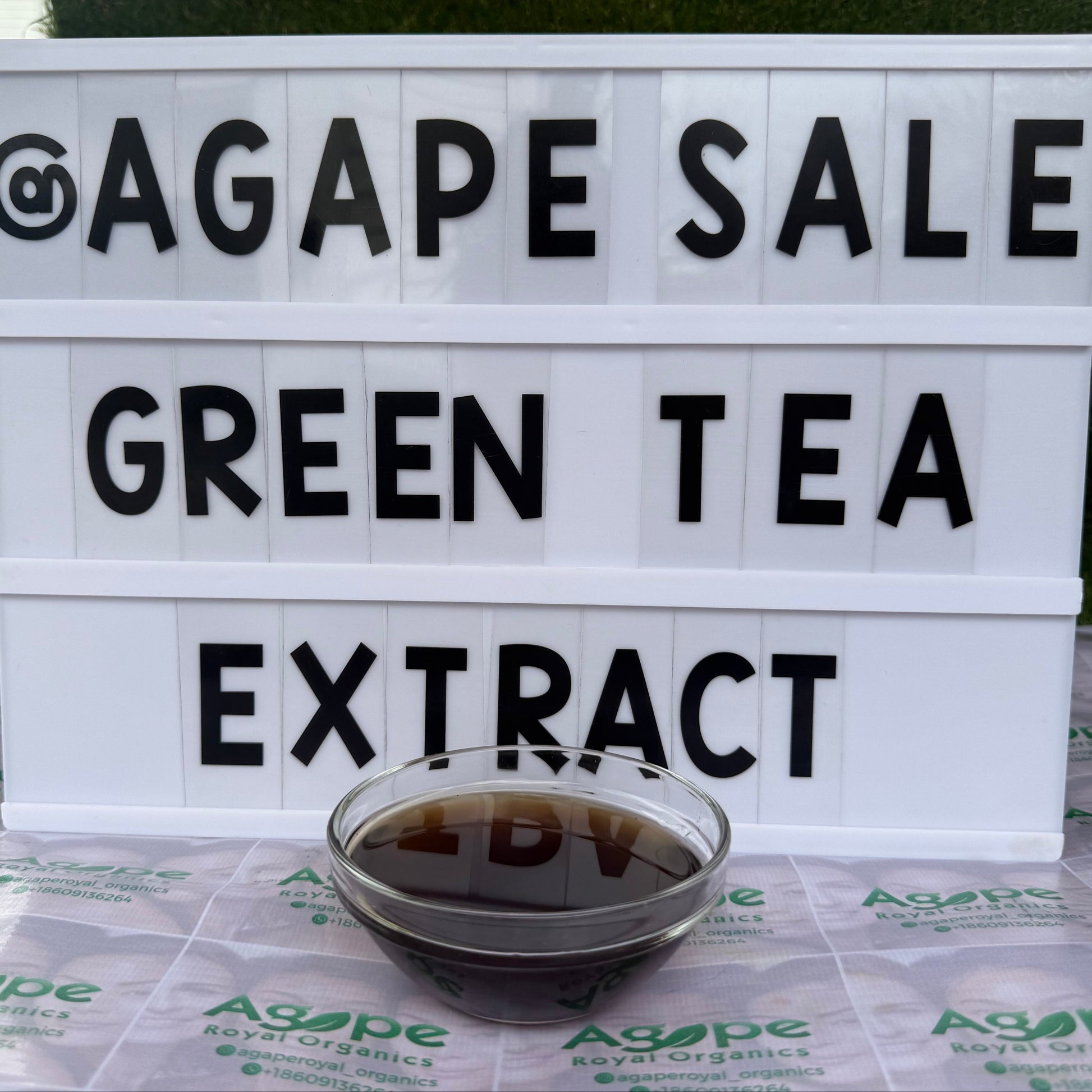 Green Tea Extract PG water-free glycerin-free botanical extract for cosmetic formulations