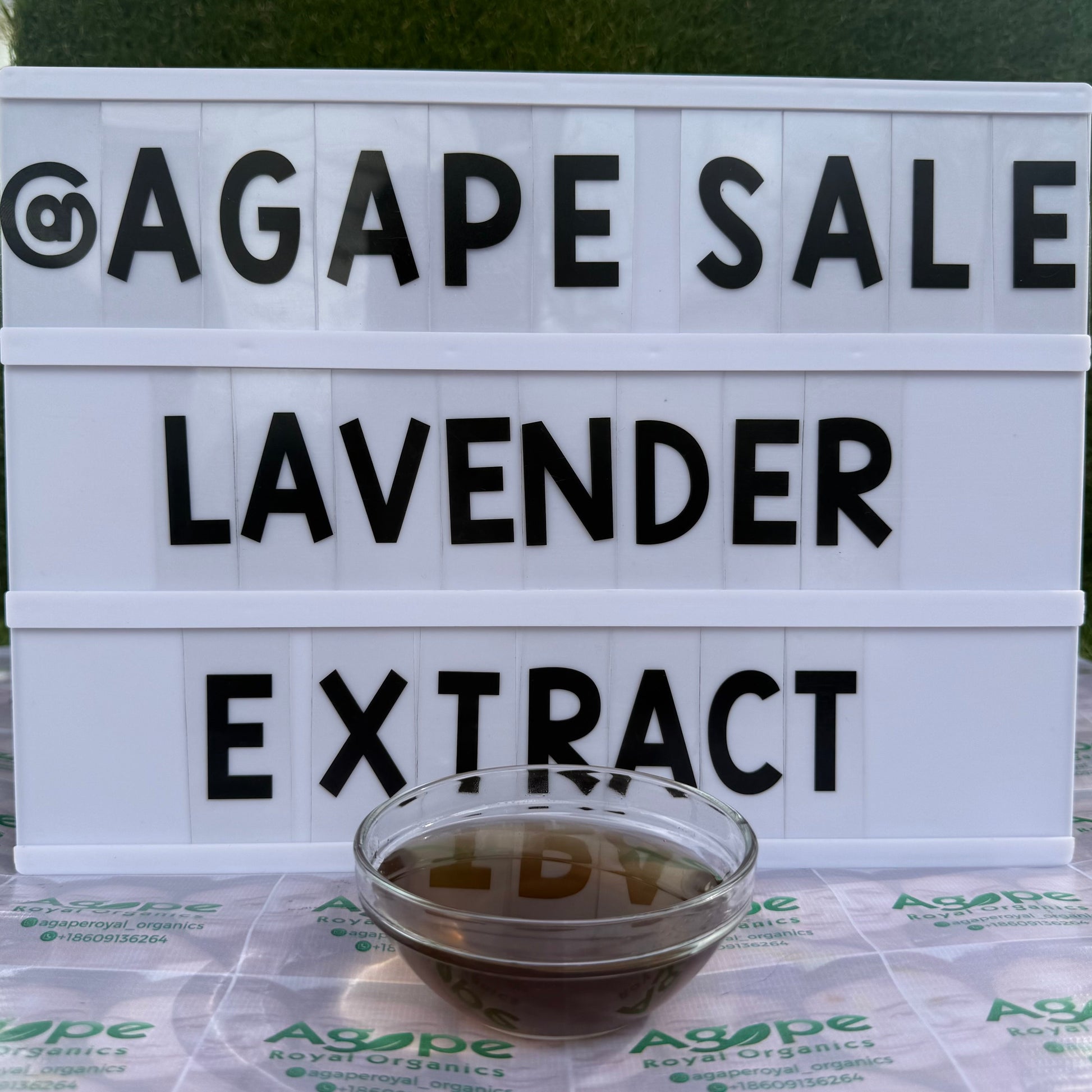 Lavender Extract PG water-free glycerin-free botanical extract for cosmetic formulations